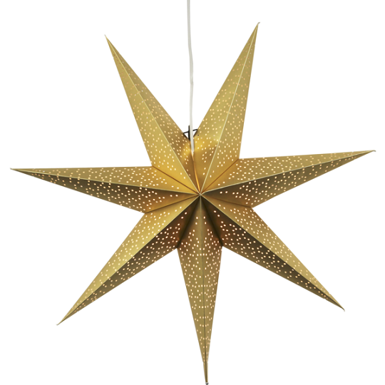 Julstjärna 'Dot Gold' - Papper
