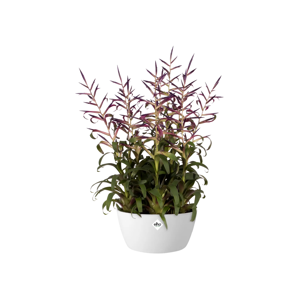 Brussels Plantskål Ytterkruka D23cm White
