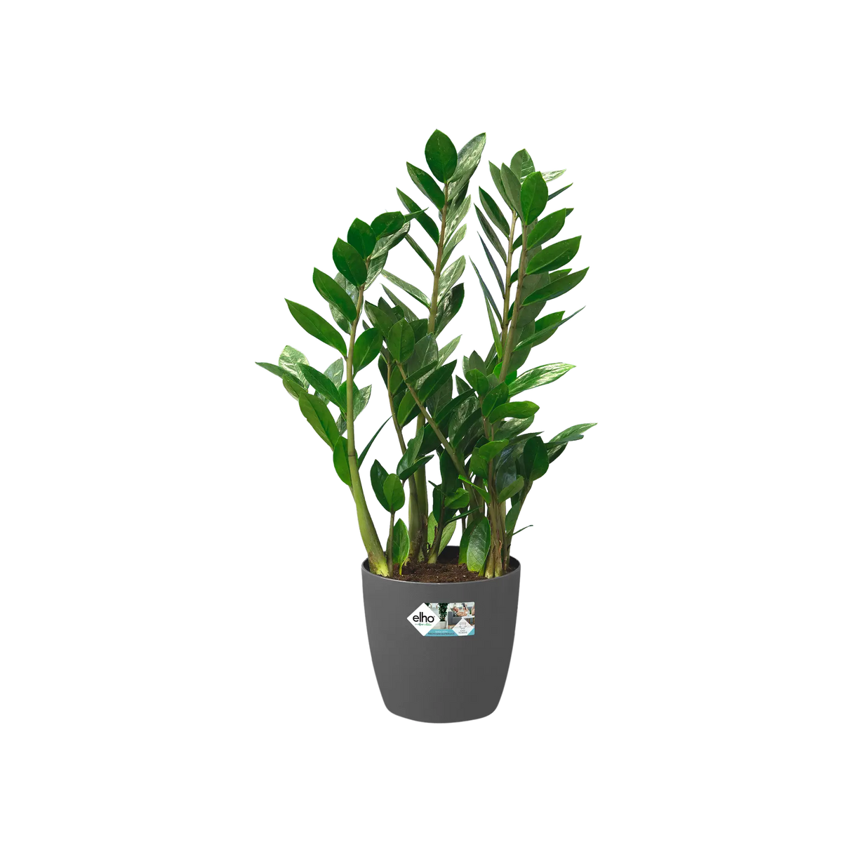 Brussels Ytterkruka med hjul D47cm - Anthracite