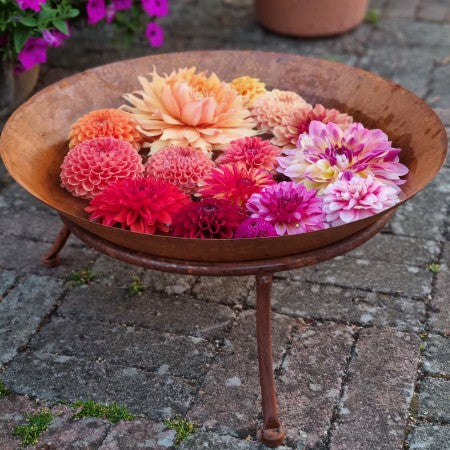 Eldskål rost D47xH21cm