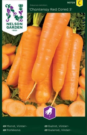 Vintermorot 'Chantenay Red Cored 3'