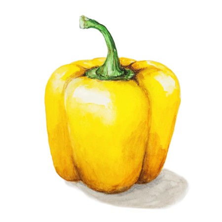 Paprika 'Cubo Yellow'