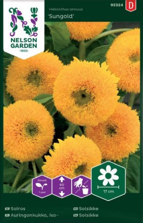 Solros (Låg) 'Sungold' frö
