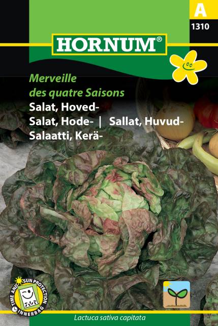 Huvudsallat 'Merveille des quatre Saisons' frö