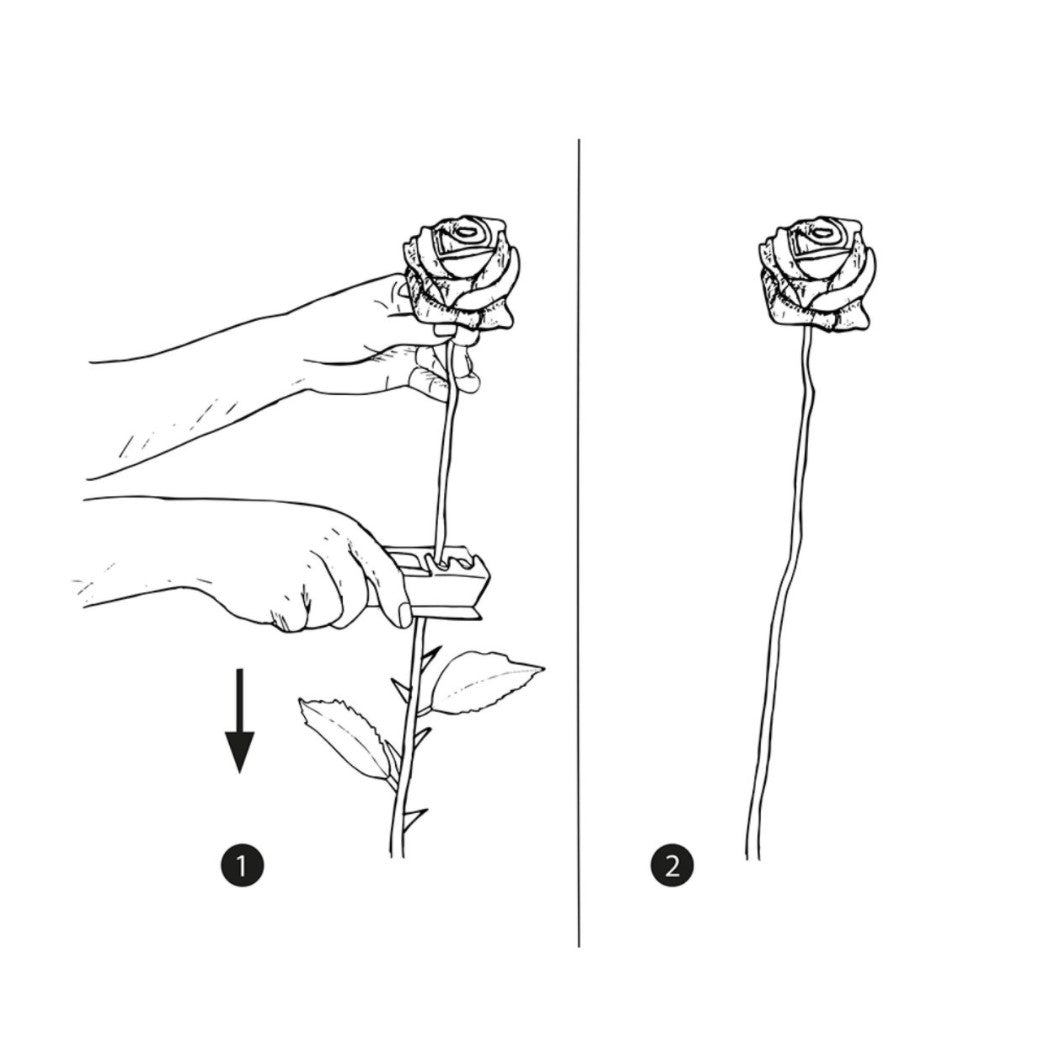 Rostaggsborttagare L13,5cm