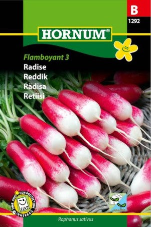 Rädisa 'Flamboyant 3'
