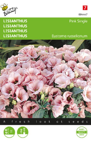 Prärieklocka 'Pink Single'