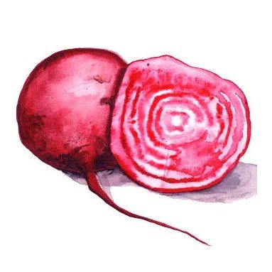 Rödbeta 'Chioggia' Svenskodlat frö