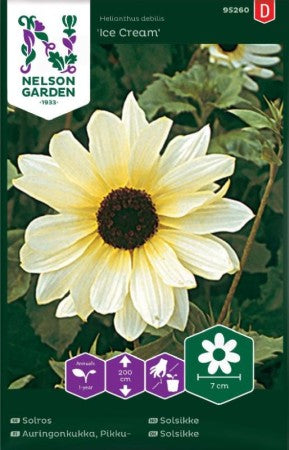 Solros (Hög) 'Ice Cream' frö