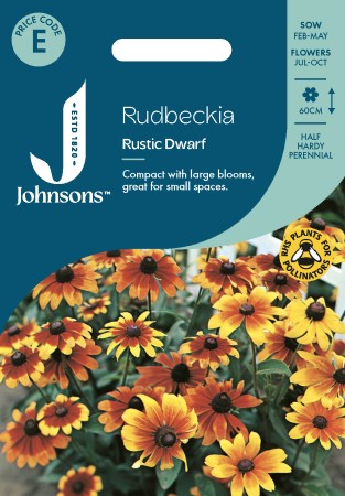 Sommarrudbeckia 'Rustic Dwarf'