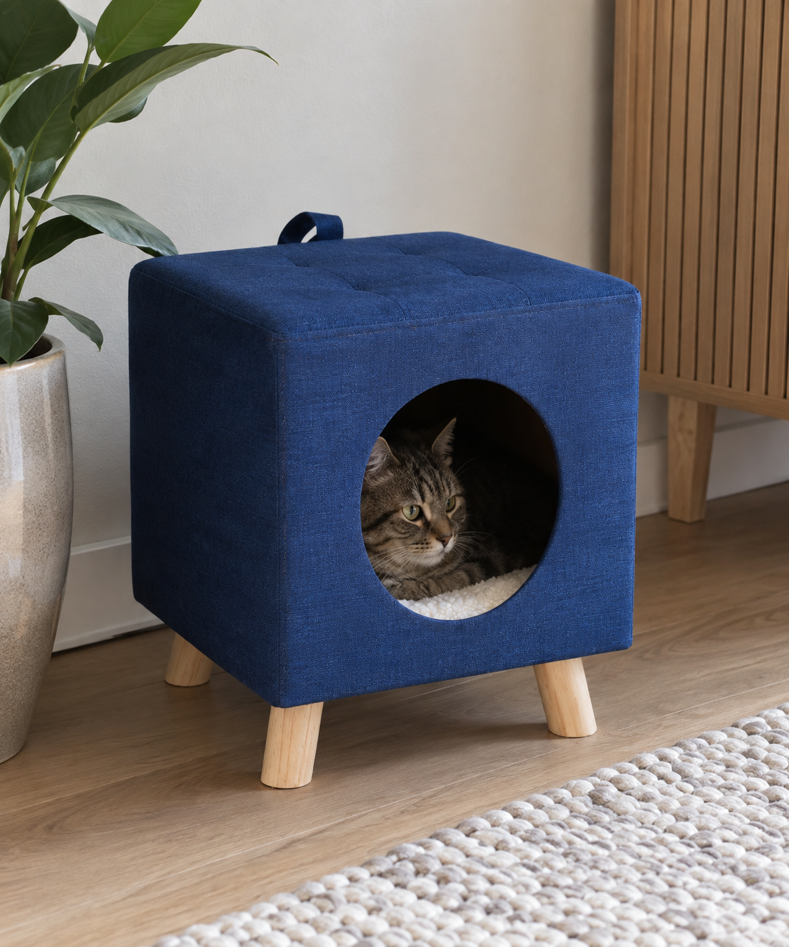 Kattgrotta blå