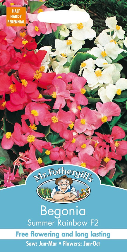 Begonia 'Summer Rainbow F2'