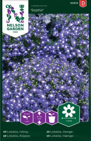 Lobelia Häng 'Saphir'
