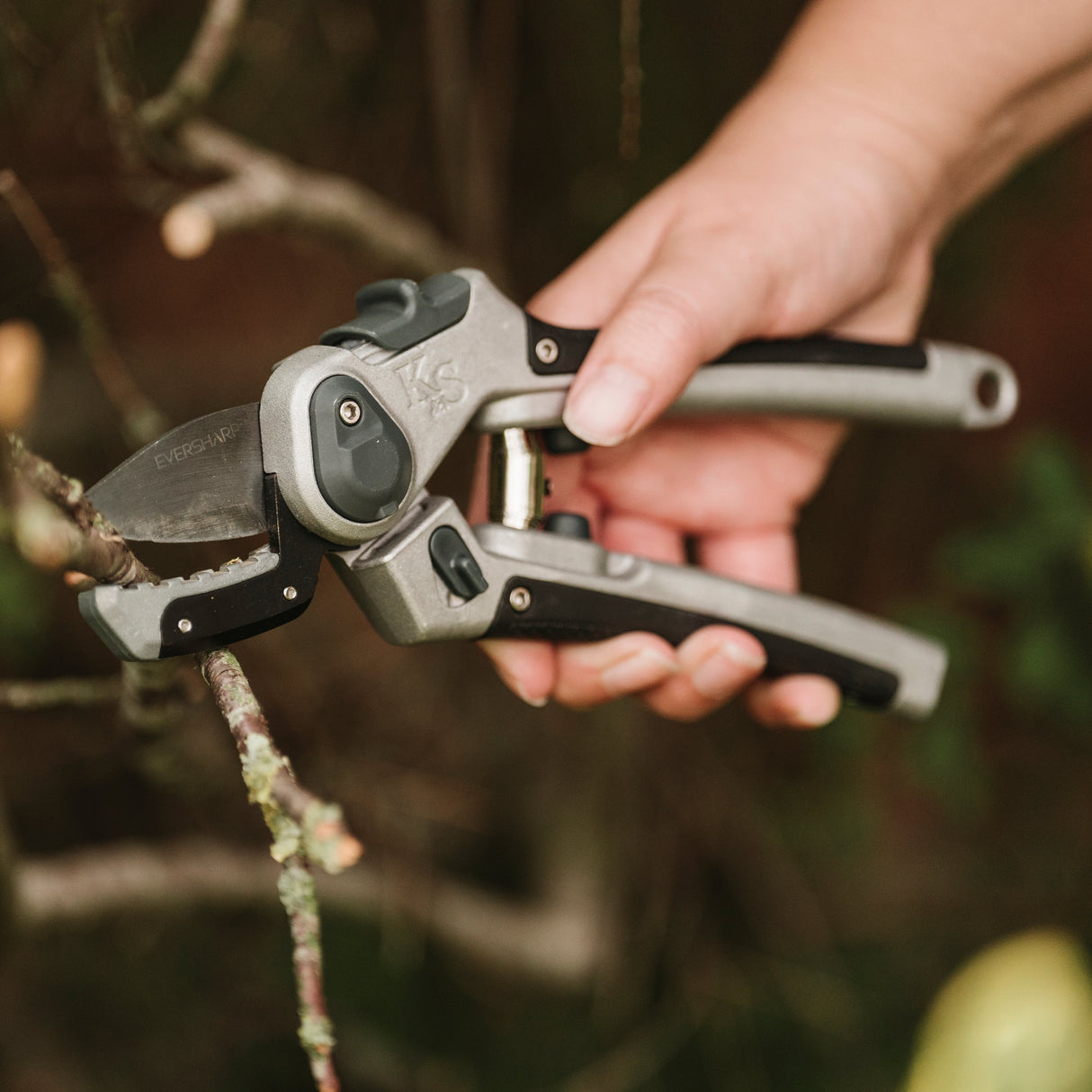 Eversharp Sekatör 'Hard Wood'