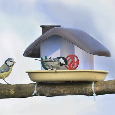 Foderautomat 'Domek' Brown