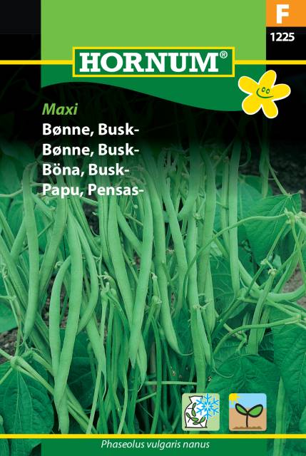 Brytböna 'Maxi' frö