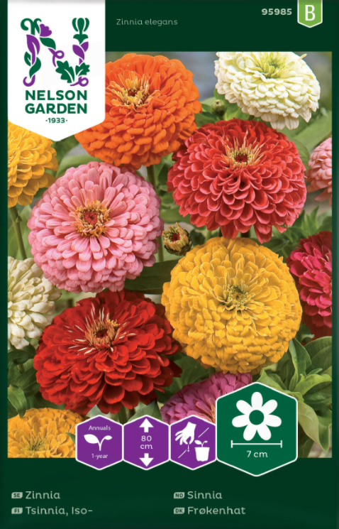 Zinnia Hög Mix