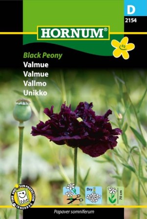 Pionvallmo 'Black Peony'