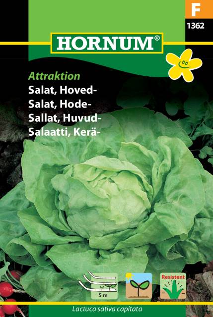 Huvudsallat 'Attraktion' - Såband