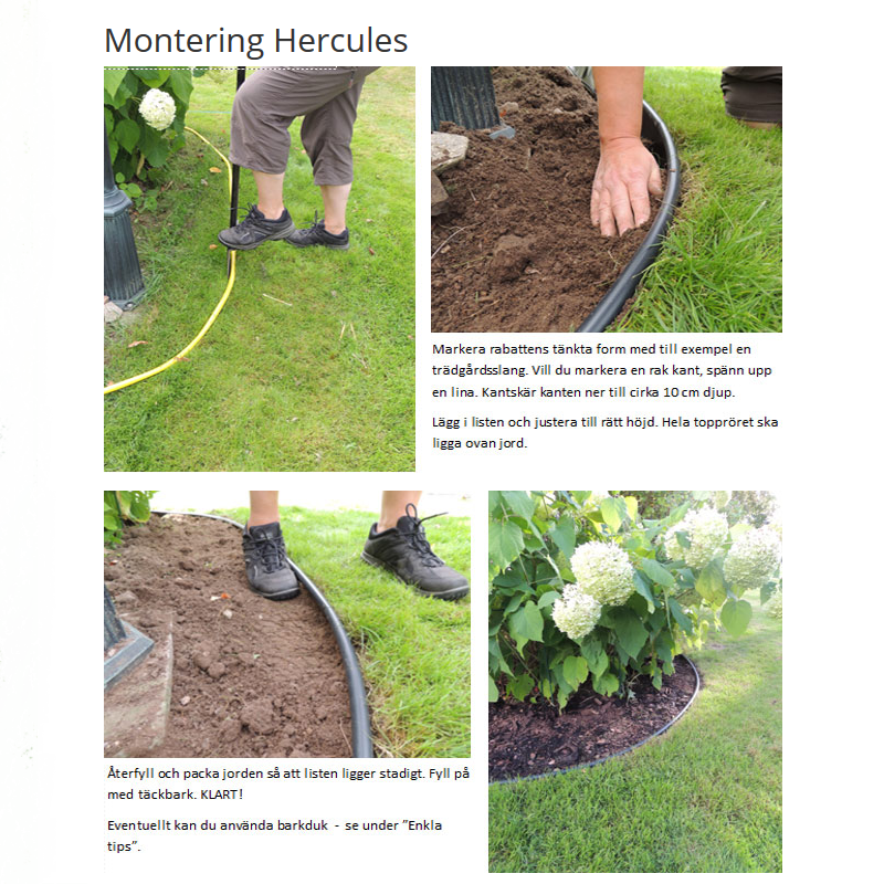 Rabattkant 'Hercules' 6 m