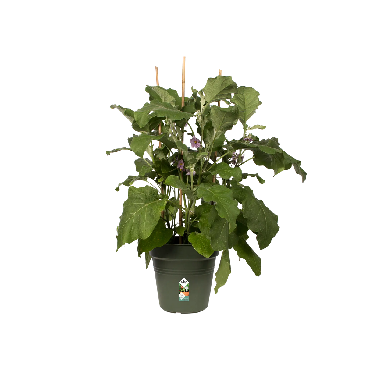 Green Basics Growpot 30cm - Leaf Green