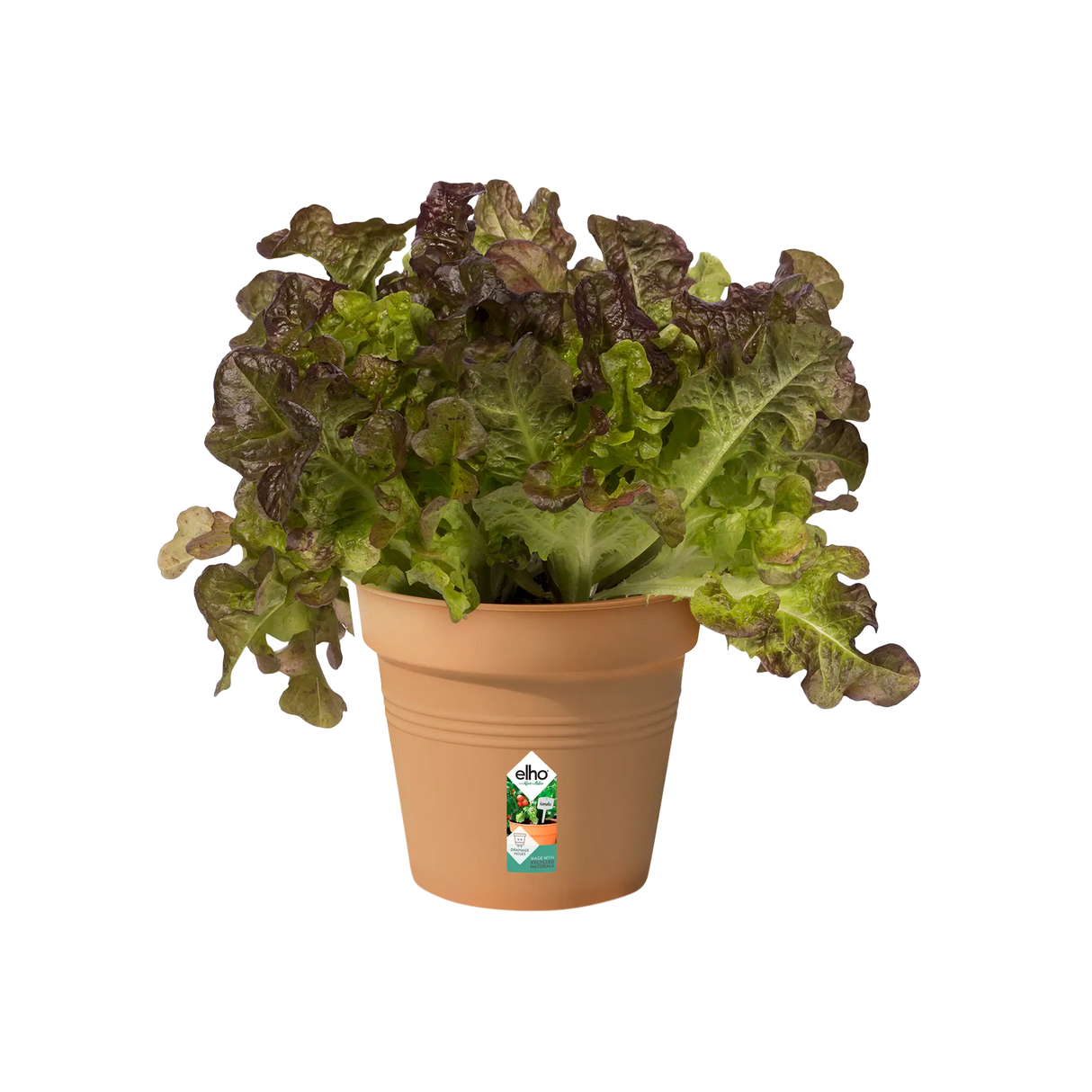 Green Basics Growpot 11cm - Terracotta