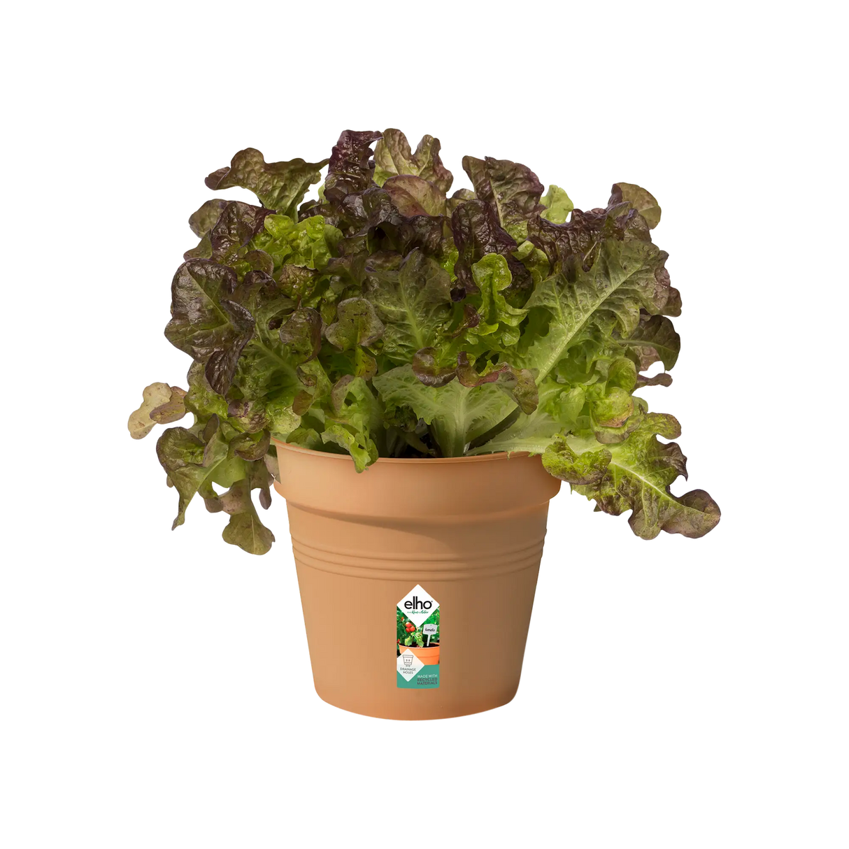 Green Basics Growpot 15cm - Terracotta