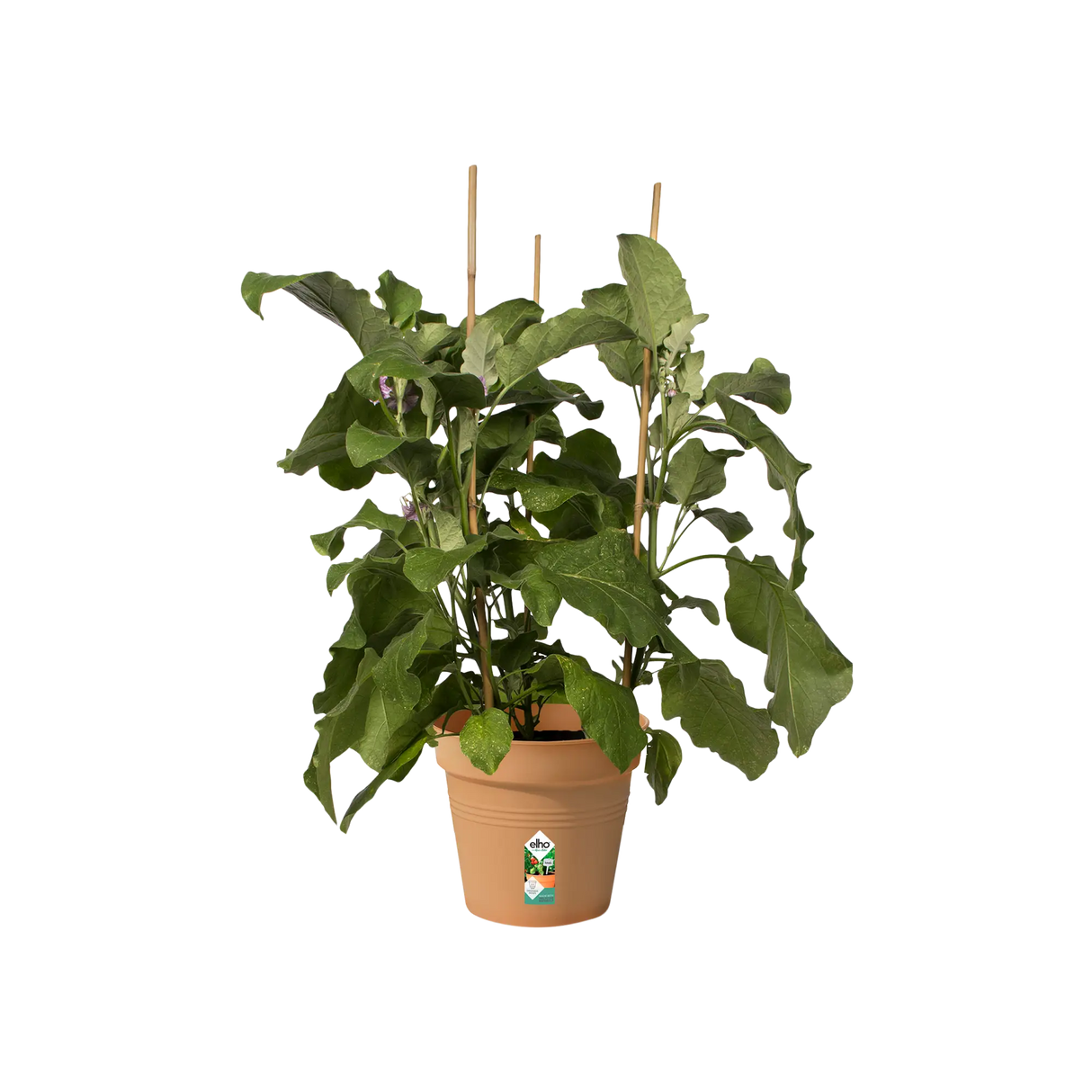 Green Basics Growpot 19cm - Terracotta