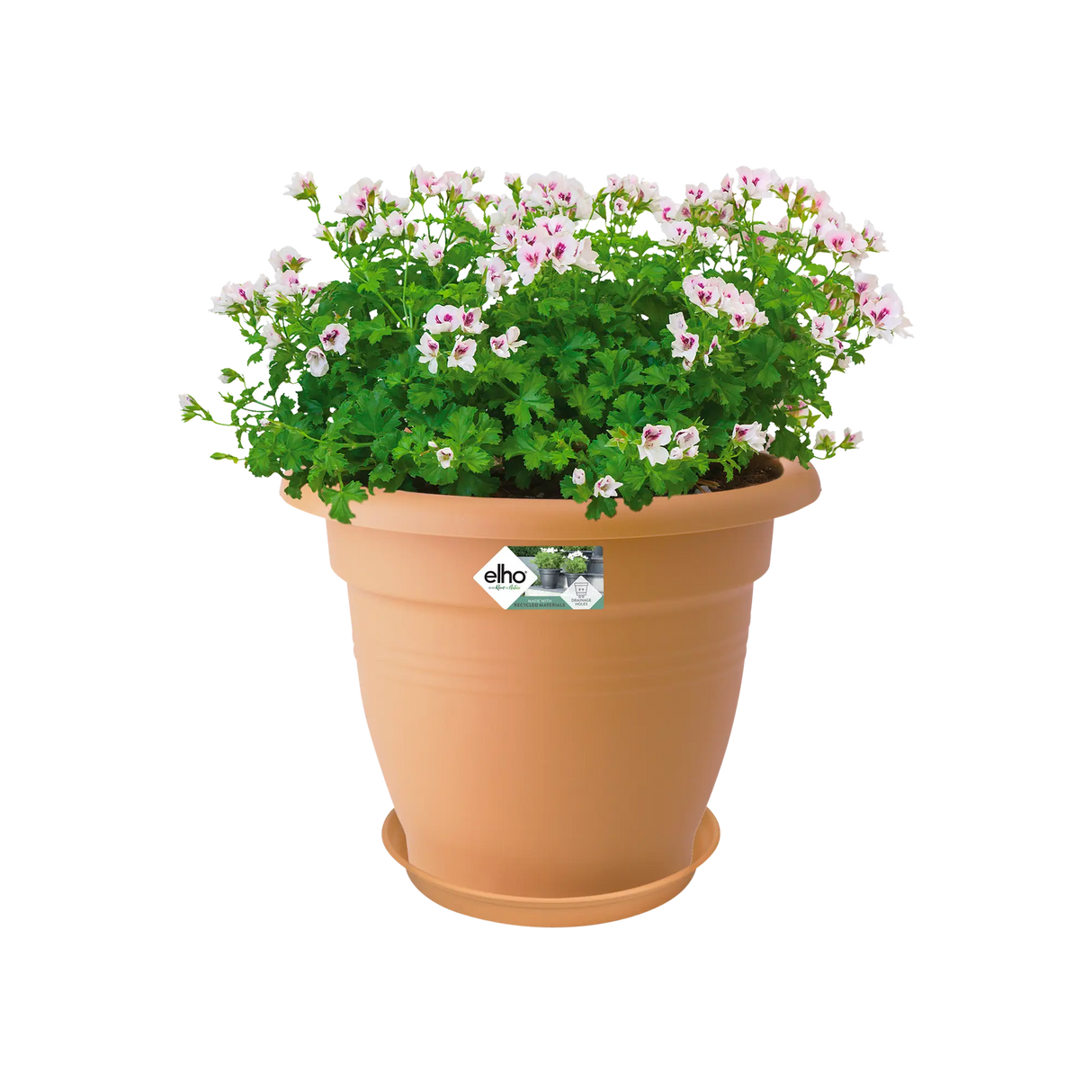 Green Basics Fat 34cm - Mild Terra