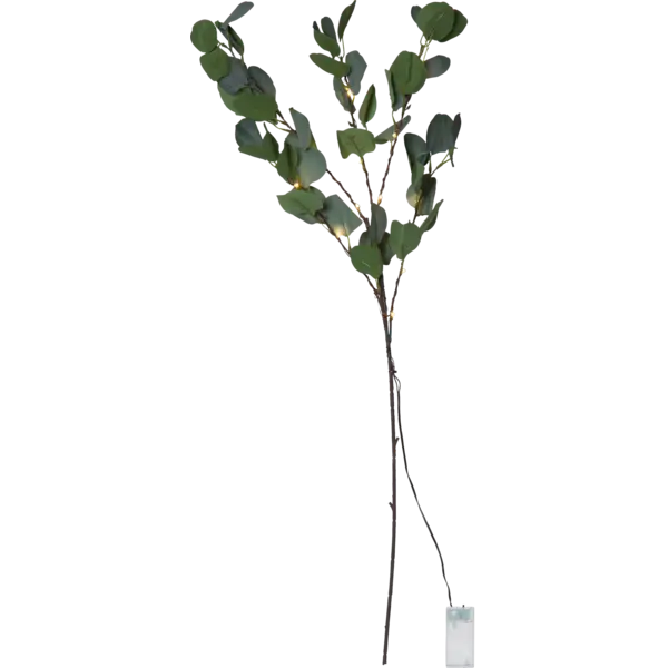 Dekorationskvist Eucalyptus 15L BO