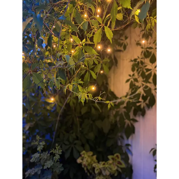 Ljusslinga LED 'Golden' 6m