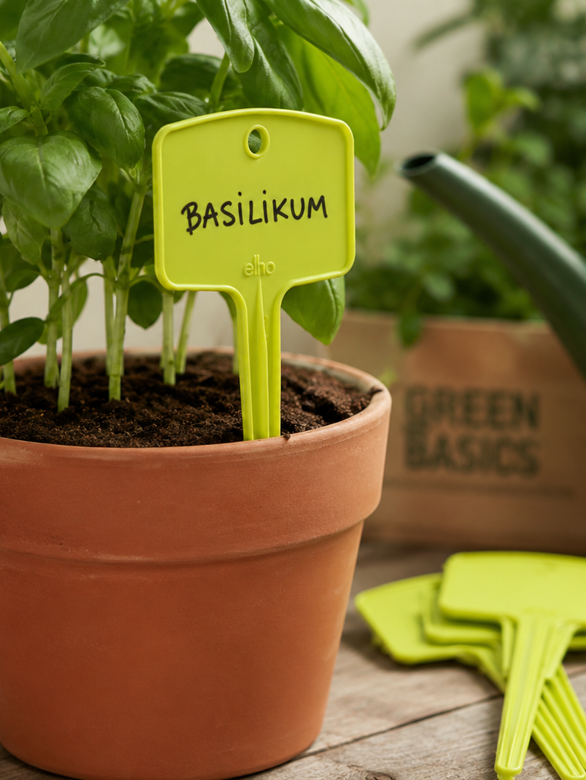 Green Basics Etiketter 6x13cm 5-pack Lime