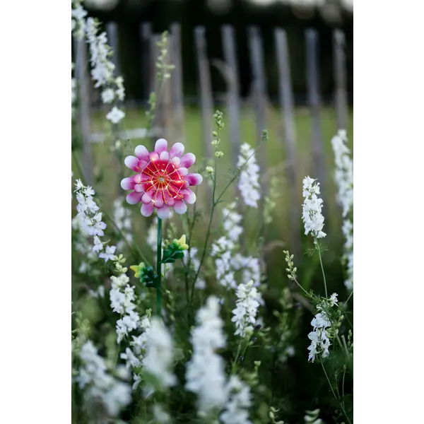 Dekorationsbelysning Solcell 'Pink Daisy'