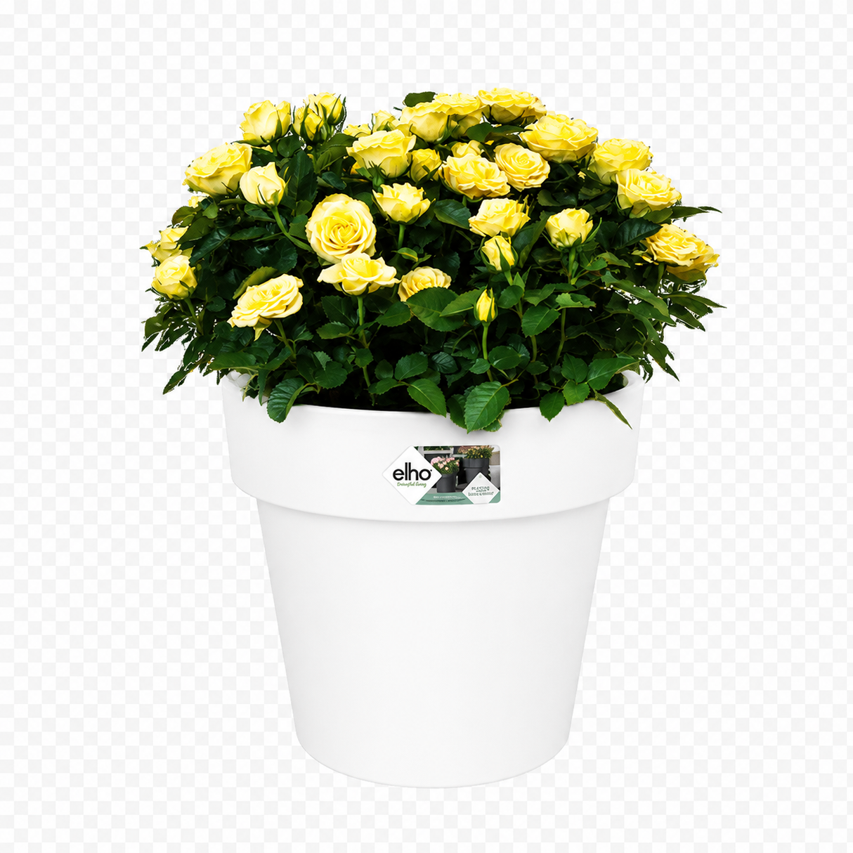 Green Basics Top Planter 30cm - Cotton White