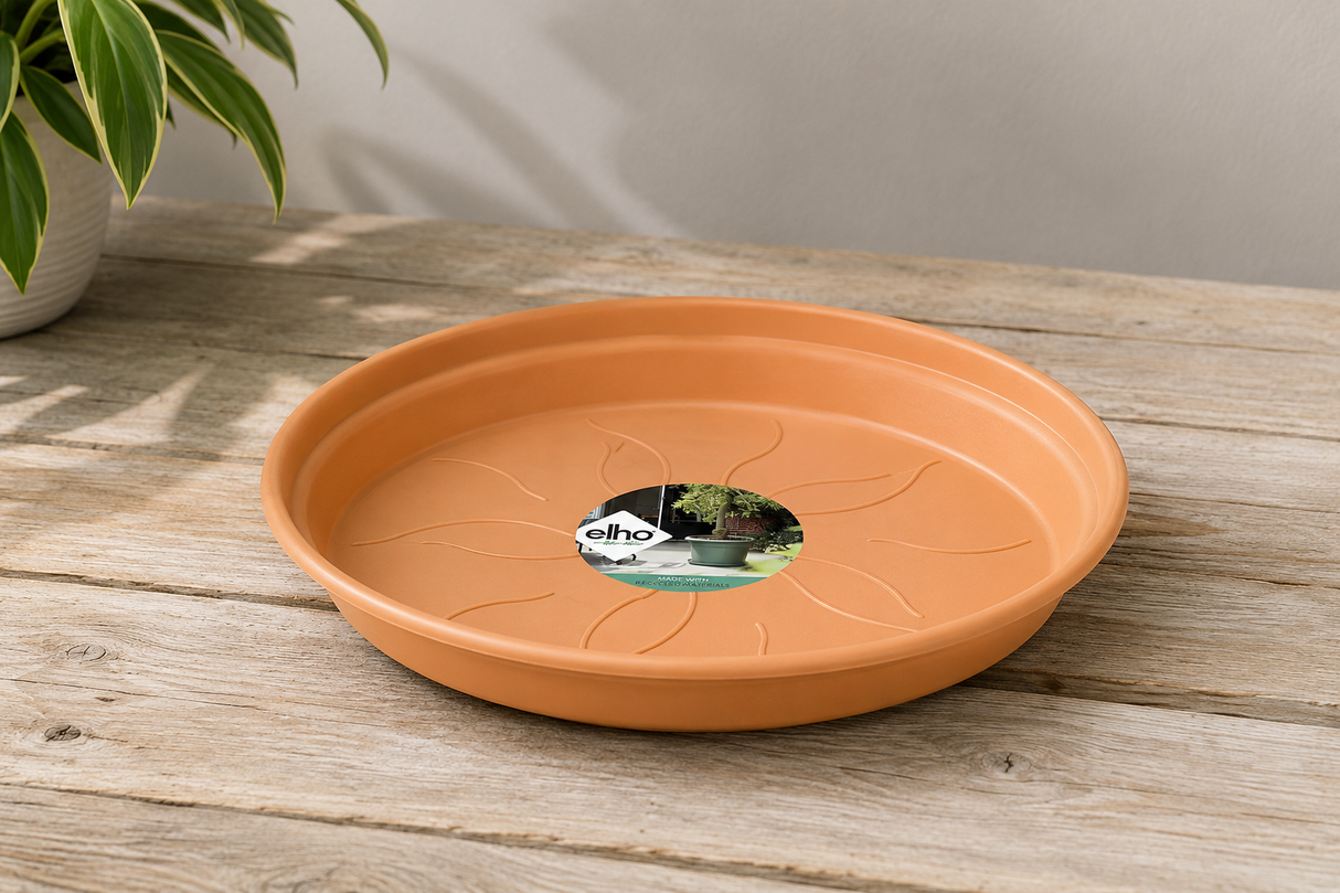 Green Basics Fat 29cm - Mild Terra