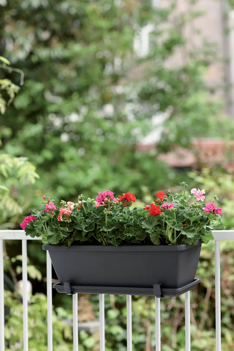 Barcelona Trough Balkonglåda 50cm Anthracite