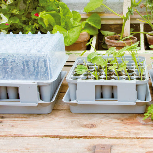 Miniväxthus Pluggbox