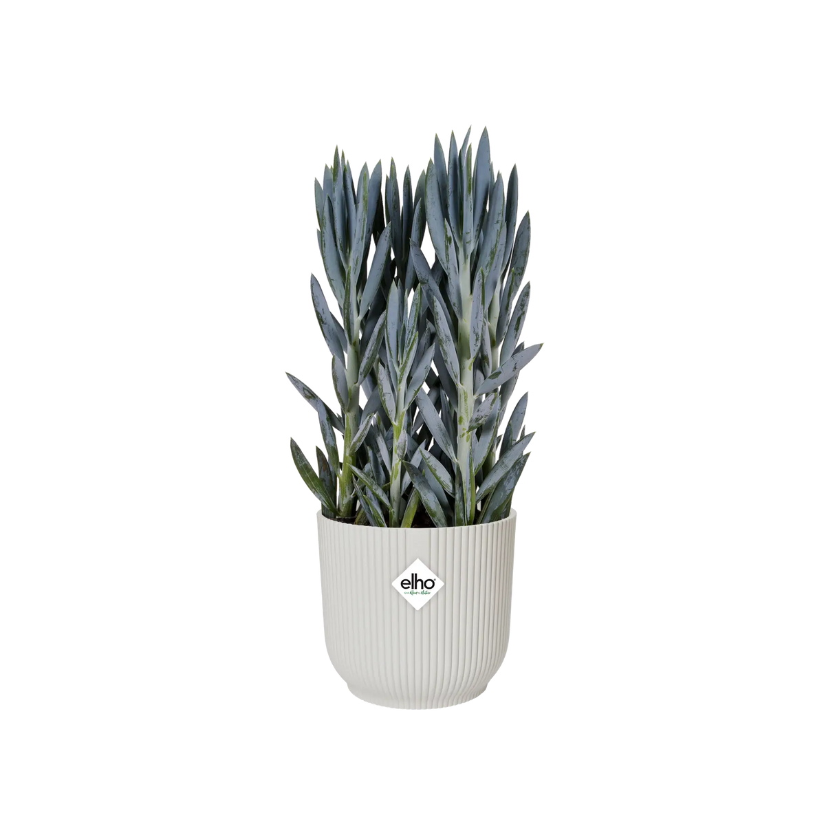 Vibes 'Fold Round' 14cm - Silky White