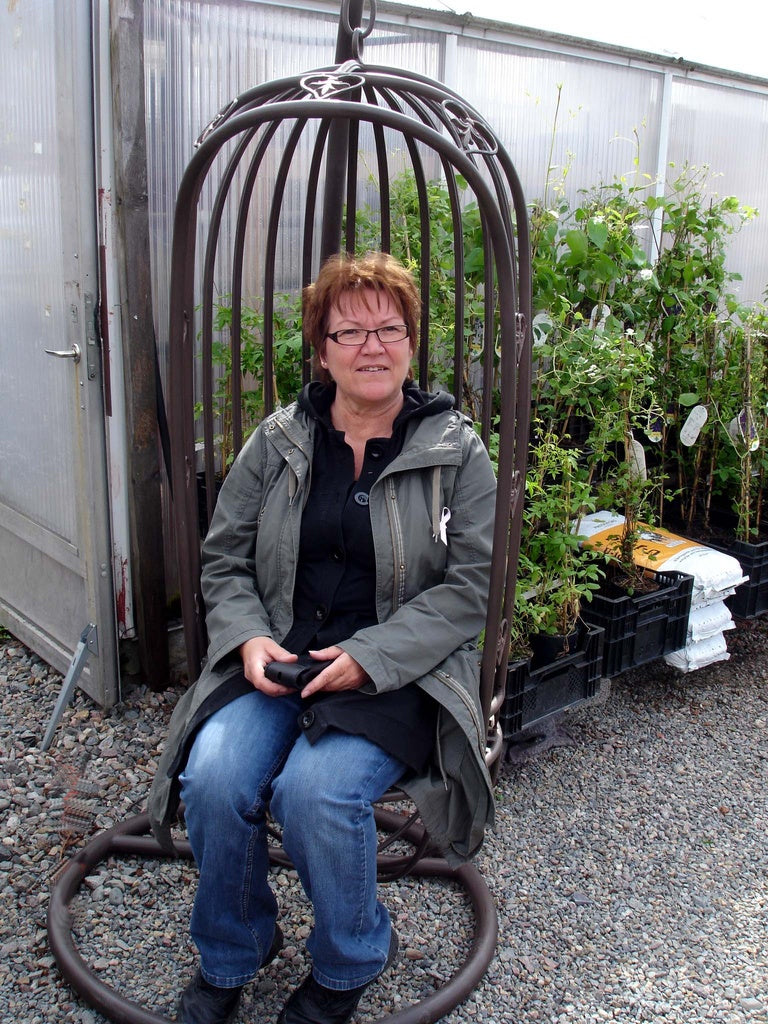 Trädgård i Piteå, odlingszon 5–6: upphöjda bäddar, växthus och perenner som lundsköna, krollilja och sippor – kallt klimat, kort växtsäsong och förodling.