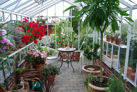 Växthus byggt på grund av handslaget tegel med ljus fog; dörr på kortsidan, automatiska takfönster och skuggväv; terracottakrukor med pelargoner och medelhavsväxter, sjöutsikt mot västra gaveln.