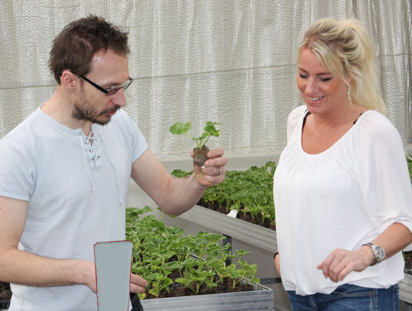 Effective query guidelines for information extraction and research: clear requests, define subject area, clarify desired outcomes, structured analysis of key data points