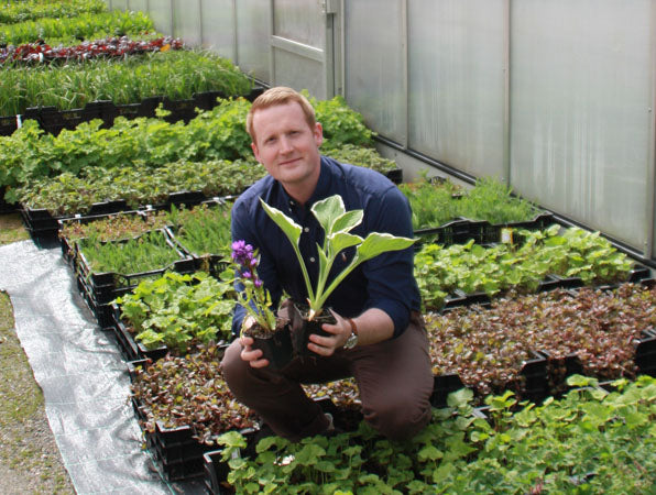 Jonas, Marknadschef på Odla.nu, presenterar nytt sortiment av färdiga, krukodlade perenner – kraftiga och välväxta, levereras i 9 cm kruka; plantera när som helst från tidig vår till sen höst; snabbare än sticklingar; handla vackra perenner i vår shop.