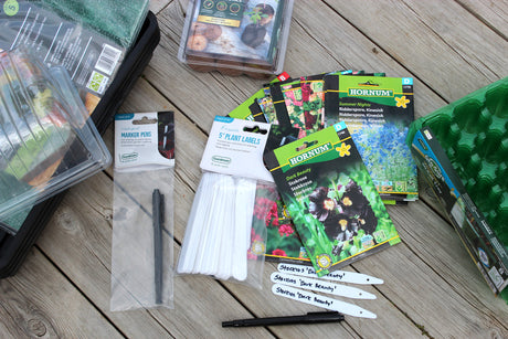 Sådd av tvååriga växter (bienner) och perenner i såbrätten/pluggar – sensommar- och höstsådd utomhus med planteringsjord toppad med såjord för starka plantor som övervintrar.