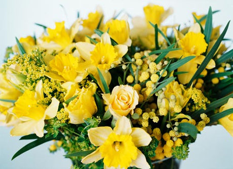 Akacia (Acacia) – doftande gul snittblomma från Australien med klargula, bollformade blommor; Fabaceae; populär i vinter- och vårbuketter; skötselråd: varmt vatten, blomnäring, svalt; ofta felaktigt kallad mimosa.