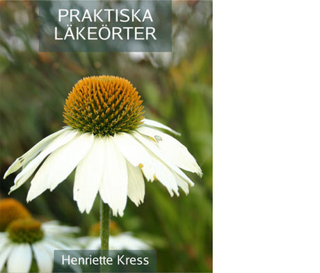 Praktiska läkeörter – bok av örtterapeut Henriette Kress som lär dig identifiera och plocka läkeörter (hallon, isop, rosor, solhattar) med recept på teer, oljor, salvor, vinäger och sirap – Henriettes Herbal