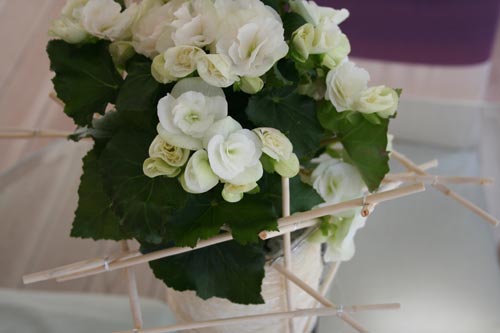 Vit begonia i glascylinder, med varmvit sisalfiber, frostigt dekorationsglas och kanelstänger – mix av vita nyanser för höstens inredning och vintervit advent.