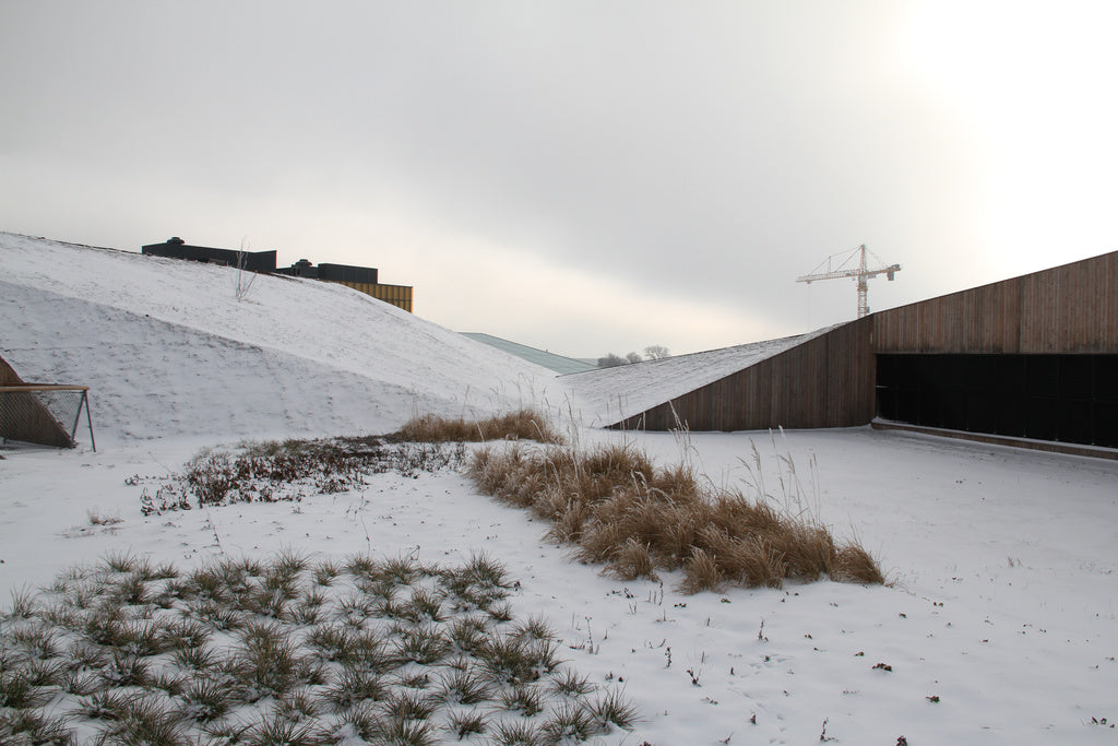 Emporias takträdgård i Malmö – gröna tak med sedum, perenner, växtlådor och ruderatmark som hanterar dagvatten, minskar värmeöeffekt och ökar biologisk mångfald.