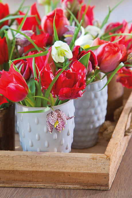 Röda tulpaner med kungsängslilja (Fritillaria meleagris) – romantisk bukett för Alla hjärtans dag; blomsterspråket säger ”Jag älskar dig”, perfekt att skicka som anonym överraskning för att visa omtanke och vänskap.
