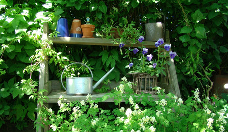 Detaljrik trädgård i juni med krukor i olika storlekar, växter i nivåer och trädgårdspynt – hållbar inspiration för balkong och liten yta.