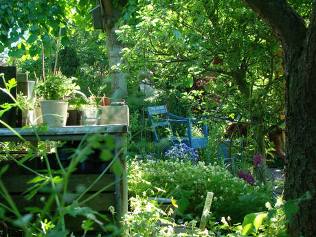 Bloggkollen på Odla.nu – inspirerande trädgårdsbloggar för odlare och trädgårdsägare, tips och gemenskap. Av Katarina Kihlberg.